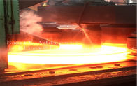 Anéis rolados forjados quentes/padrão de aço inoxidável 1,4401 do RUÍDO da luva