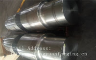 Aço de liga feito à máquina áspero forjado do EN ASTM AISI do RUÍDO da barra redonda JIS e de aço inoxidável quentes